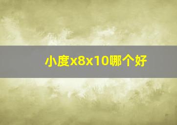 小度x8x10哪个好