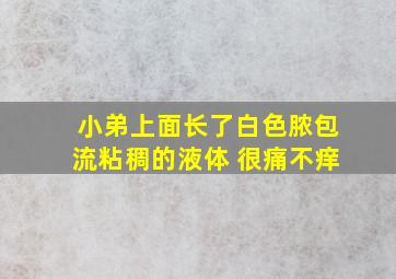 小弟上面长了白色脓包流粘稠的液体 很痛不痒