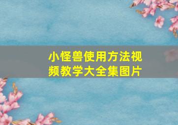 小怪兽使用方法视频教学大全集图片