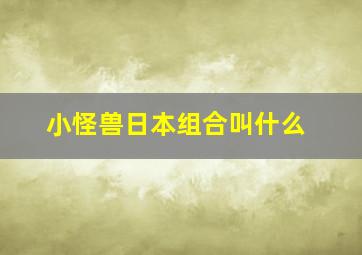 小怪兽日本组合叫什么