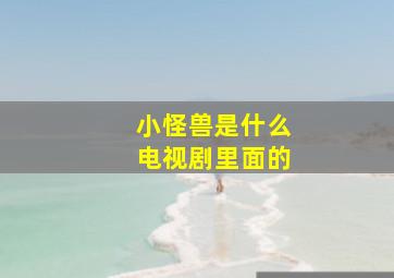 小怪兽是什么电视剧里面的