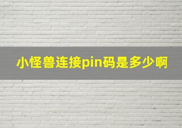 小怪兽连接pin码是多少啊