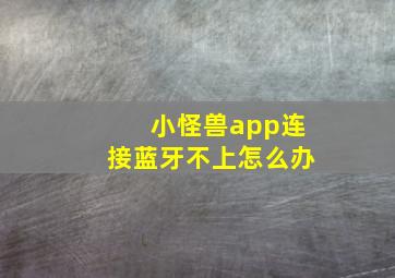 小怪兽app连接蓝牙不上怎么办