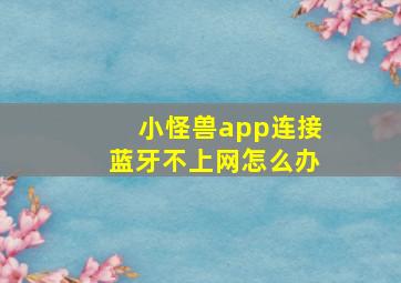 小怪兽app连接蓝牙不上网怎么办