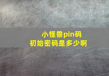 小怪兽pin码初始密码是多少啊