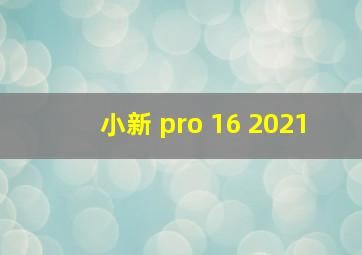 小新 pro 16 2021