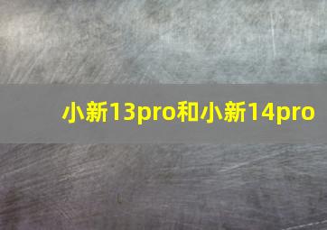 小新13pro和小新14pro