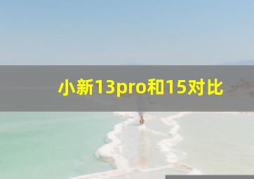 小新13pro和15对比