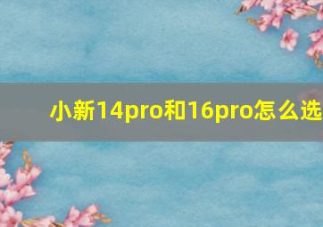 小新14pro和16pro怎么选