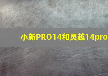 小新PRO14和灵越14pro