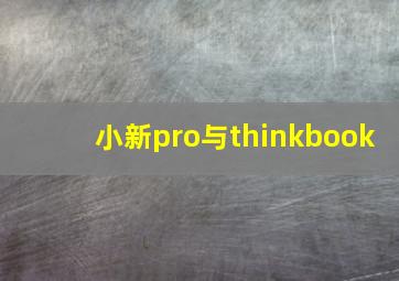 小新pro与thinkbook