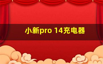 小新pro 14充电器