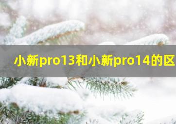 小新pro13和小新pro14的区别