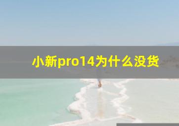 小新pro14为什么没货