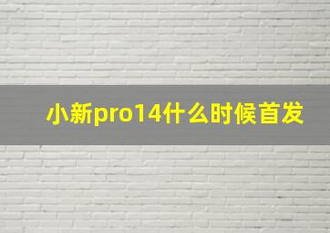 小新pro14什么时候首发