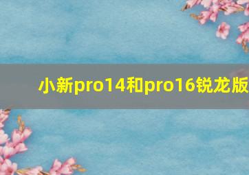 小新pro14和pro16锐龙版