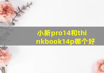 小新pro14和thinkbook14p哪个好