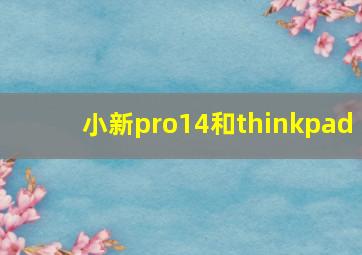 小新pro14和thinkpad