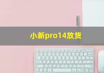 小新pro14放货