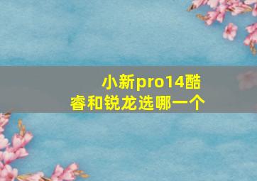 小新pro14酷睿和锐龙选哪一个