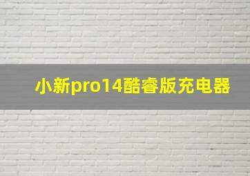 小新pro14酷睿版充电器