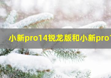 小新pro14锐龙版和小新pro16