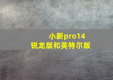 小新pro14锐龙版和英特尔版