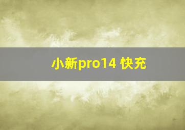 小新pro14 快充