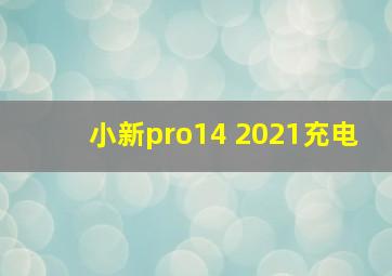 小新pro14 2021充电