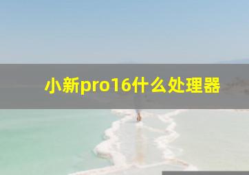 小新pro16什么处理器