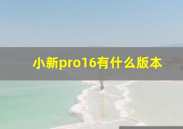 小新pro16有什么版本