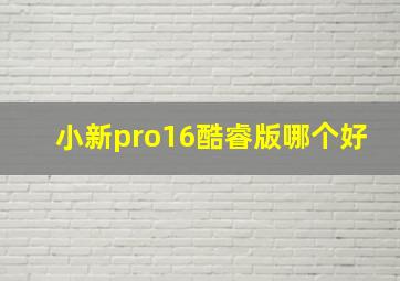 小新pro16酷睿版哪个好