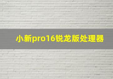 小新pro16锐龙版处理器