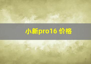 小新pro16 价格