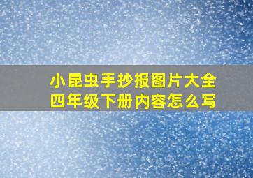 小昆虫手抄报图片大全四年级下册内容怎么写