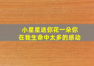 小星星送你花一朵你在我生命中太多的感动