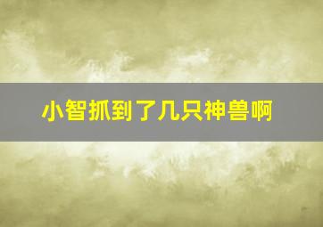 小智抓到了几只神兽啊