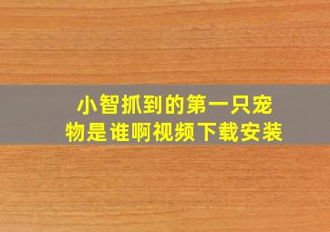 小智抓到的第一只宠物是谁啊视频下载安装