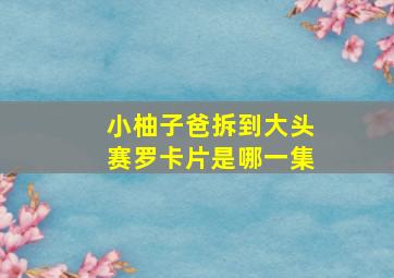 小柚子爸拆到大头赛罗卡片是哪一集