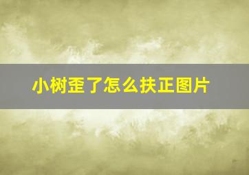 小树歪了怎么扶正图片