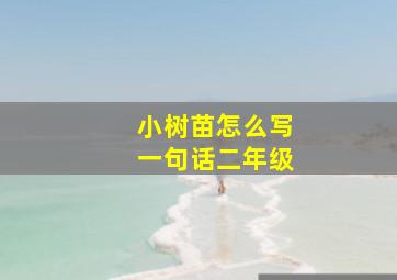 小树苗怎么写一句话二年级