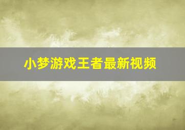 小梦游戏王者最新视频