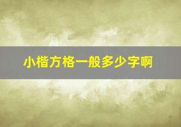 小楷方格一般多少字啊