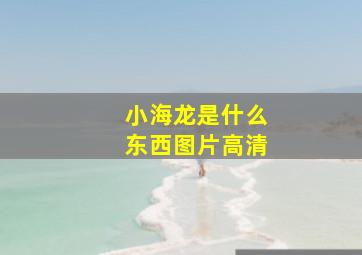 小海龙是什么东西图片高清