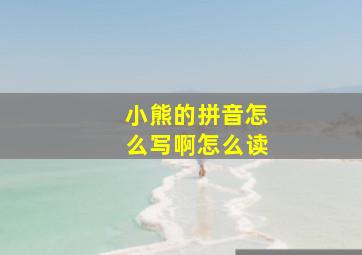 小熊的拼音怎么写啊怎么读