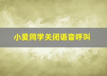 小爱同学关闭语音呼叫