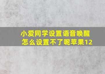 小爱同学设置语音唤醒怎么设置不了呢苹果12