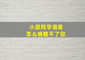 小爱同学语音怎么唤醒不了你