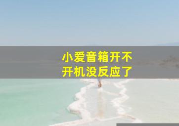 小爱音箱开不开机没反应了