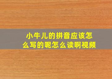 小牛儿的拼音应该怎么写的呢怎么读啊视频